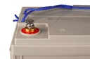 Victron accu AGM Super cycle 12V/100Ah (M6)