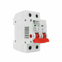 [8718924261958] hoofdschakelaar 2-polig 40A (85005000)