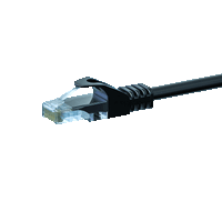[8719956626326] CAT5e UTP patchkabel 0,25m zwart - CCA